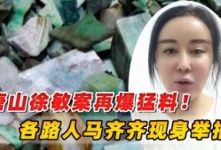 唐山市路人爆料案件最新,惊曝重大案件细节，真相即将揭晓！